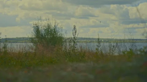 Green grass develops in the wind against the sky Video stock 285717331