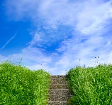 Green grass on a dike Stock Photos