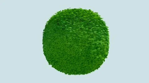 Green grass earth Video stock 260790070