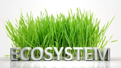 Green grass with Ecosystem 3D text, isolated on white background. Stock Illustration