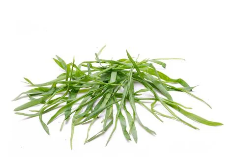 Green grass elements Foto stock
