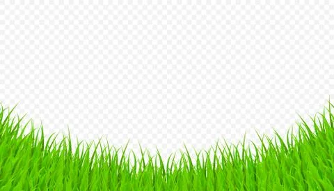 Green Grass Elements on Transparent Background. Vector Illustration Illustrazione stock