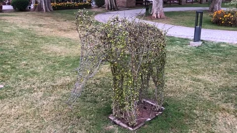 Green Grass Elephant Topiary Sculpture in a Public Park Garden Stock Footage 344645693