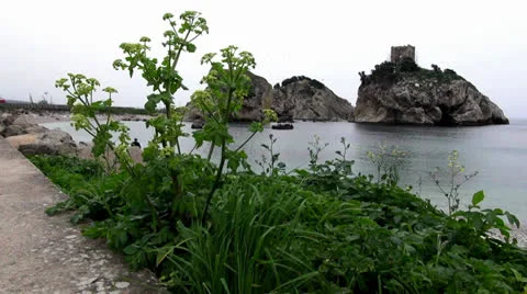Green grass on the empty coastline Stock Footage 22752652