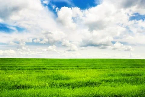Green grass field and bright blue sky background Stock Photos