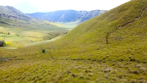 Green grass in the field Stock Footage 144641316