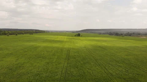Green grass field Stock Footage 146663337