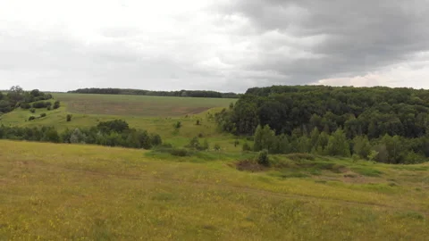 Green grass field Stock Footage 245446623