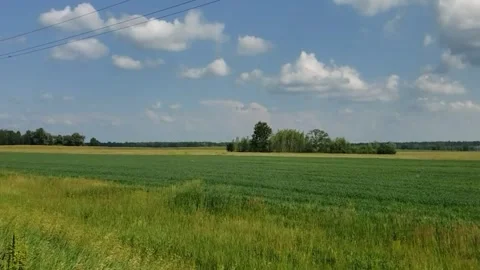 Green grass on the field Stock Footage 311422848