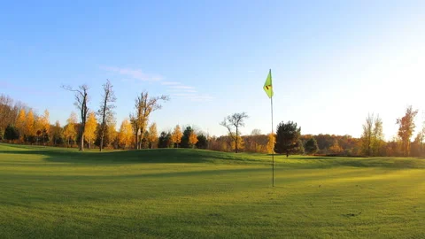 Green grass field. Golf background. Video stock 144756923