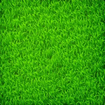 Green grass field Illustrazione stock