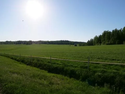 Green grass field Foto stock