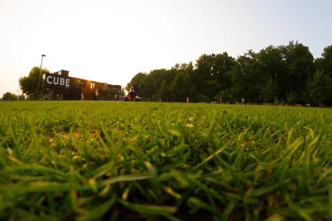 Green grass field Stock Photos