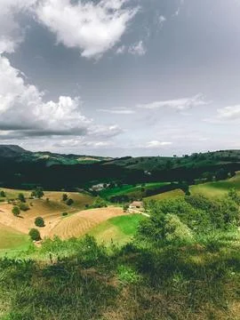 Green Grass Field Stock Photos