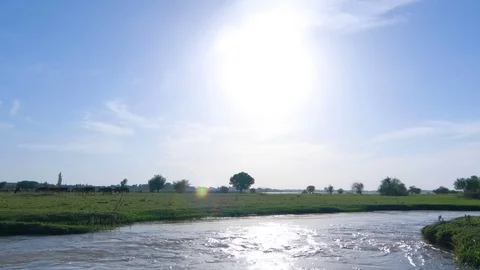 Green grass field with river Stock Footage 84581410