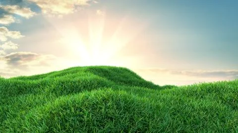 Green grass field on small hills Stock Illustration