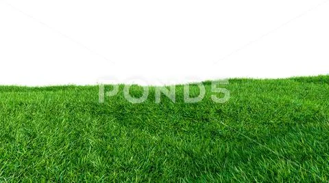 Green grass field on small hills, isolated Stock Illustration