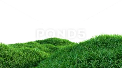 Green grass field on small hills, isolated Stock Illustration