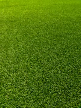 Green grass field texture background Stock Photos