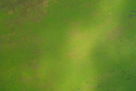 Green grass field texture with soft sunlight shadow creative abstract eco Stock Photos