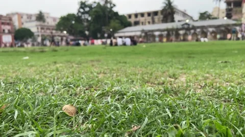 Green Grass Field with Urban Background – Cityscape and Nature Blend 스톡 동영상 335186027