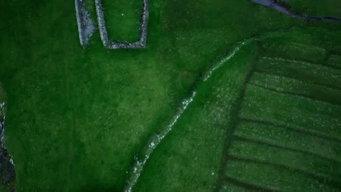 Green grass fields of Faroe Islands Vídeo Stock 143898696
