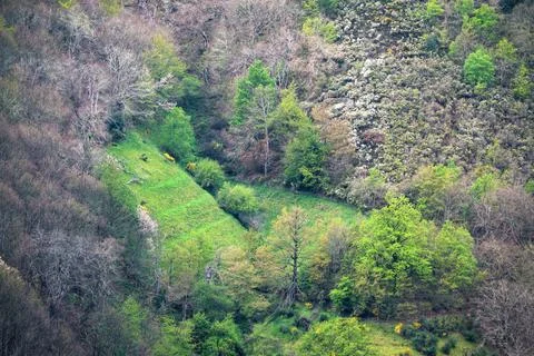 Green grass fields on the steep slopes of a valley Stock Photos
