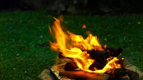 Green grass with fire pit Stock Footage 69108267