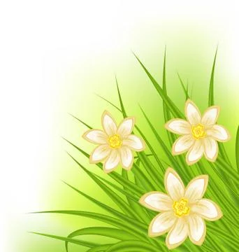 Green grass with flowers, spring background Stock Illustration