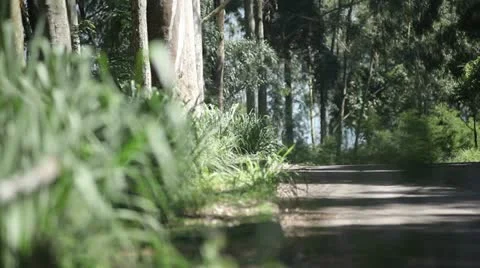 Green grass. 库存影片 12359281