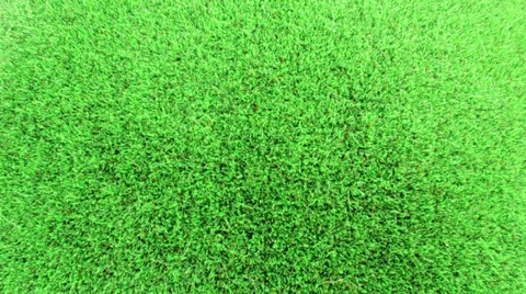 Green grass Video stock 36645057