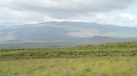 Green grass in foreground and cloudy sky above Hawaiian Landscape  Video stock 50984887