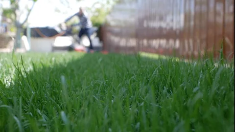Green grass in the foreground and a man with a lawnmower in the background Stock Footage 107967133