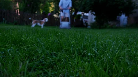 Green grass in the foreground and man with lawn mower Stock Footage 196748681