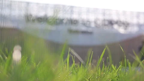 Green grass foreground, blurred background Stock Footage 293192196