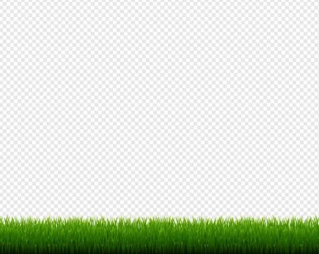 Green Grass Frame Isolated Transparent Background Stock Illustration