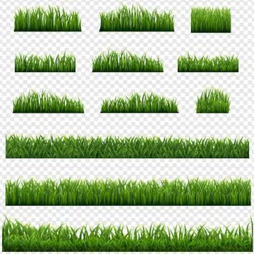 Green Grass Frame Isolated Transparent background Stock Illustration