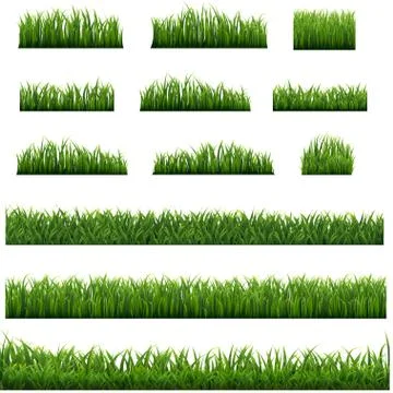 Green Grass Frame Isolated White background Stock Illustration