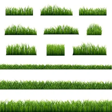 Green Grass Frame Isolated White background Stock Illustration