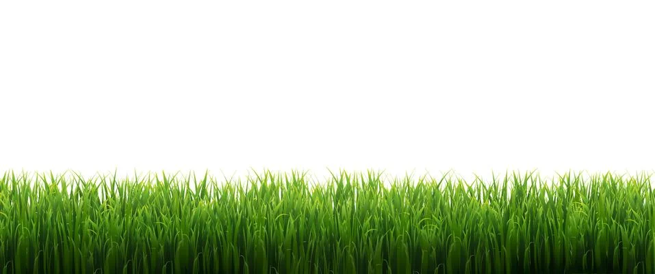 Green Grass Frame Isolated White Background Stock Illustration