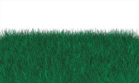 Green Grass Frame Isolated On White Background Vector Illustration. Stock Illustration