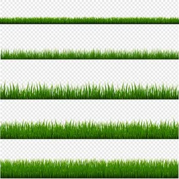 Green Grass Frame Set And Isolated Transparent Background Stock Illustration
