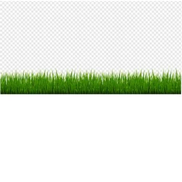 Green Grass Frame Set And Isolated Transparent Background Stock Illustration