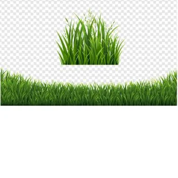 Green Grass Frame Set In Isolated White Background Stock Illustration