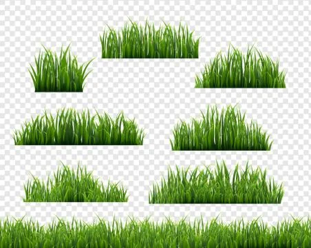 Green Grass Frame Transparent Background Stock Illustration