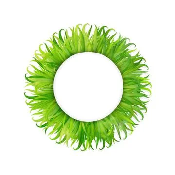 Green grass frame vector background Stock Illustration