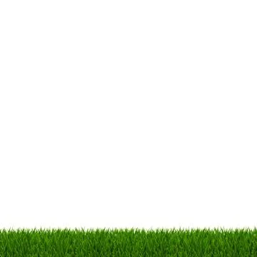 Green Grass Frame White Background Stock Illustration