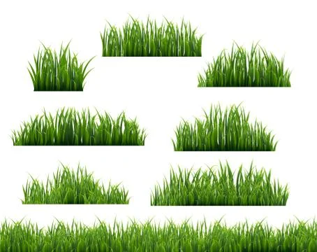 Green Grass Frame White Background Stock Illustration