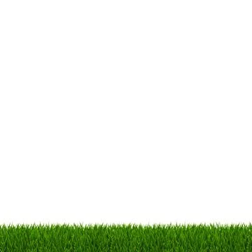 Green Grass Frame White Background Stock Illustration