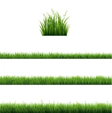 Green Grass Frames Set In Isolated Transparent Background Stock Illustration